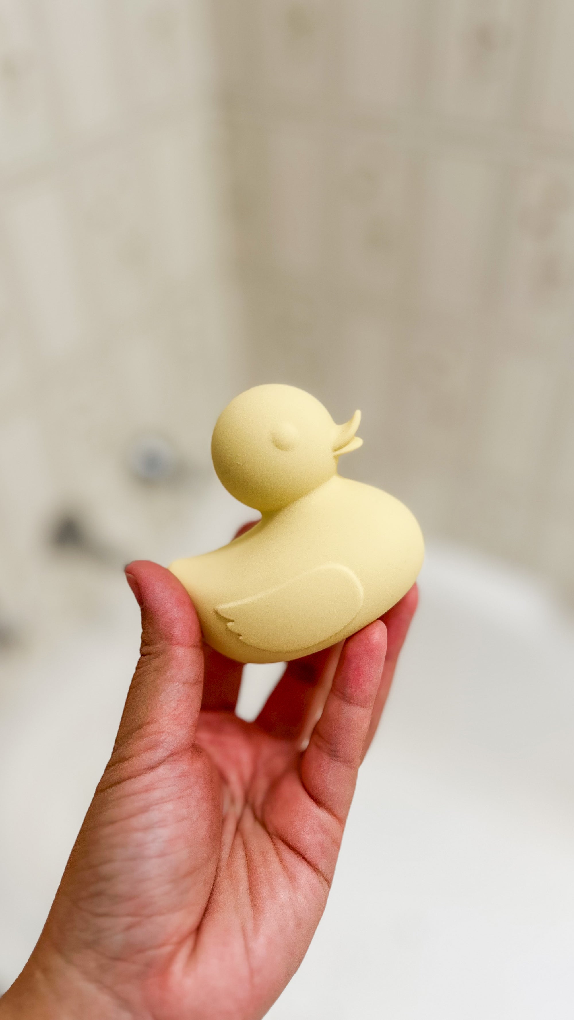 funny things to do with a novelty duck vibrator