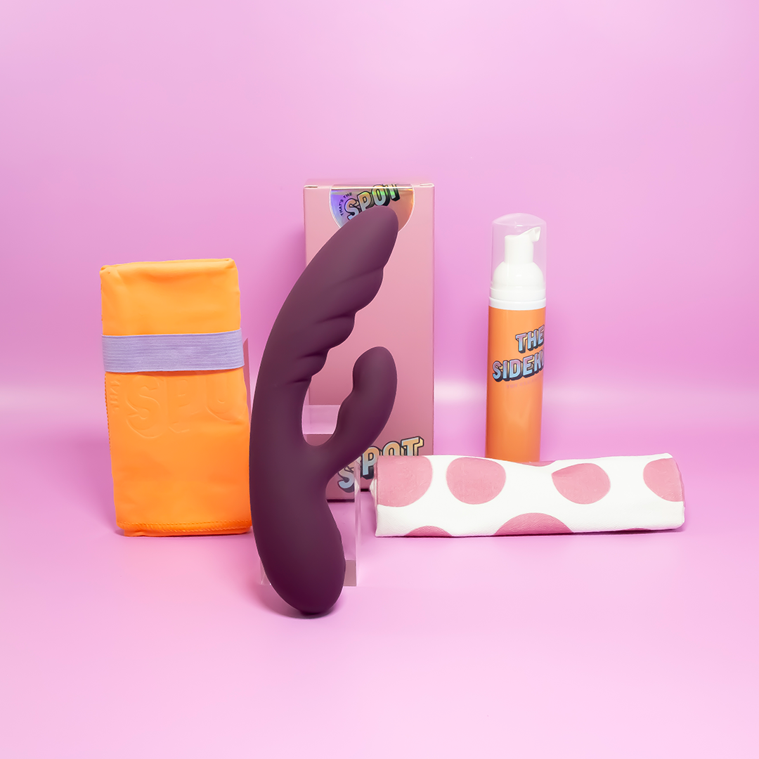 Good Clean Fun The Maintain Your Toys Kit